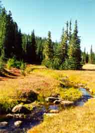 Landschaft im MtWashington Area