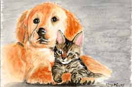 Hund und Katze